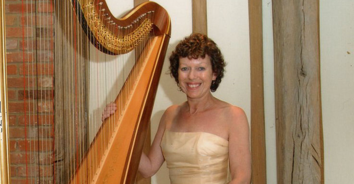The Hampshire Harpist
