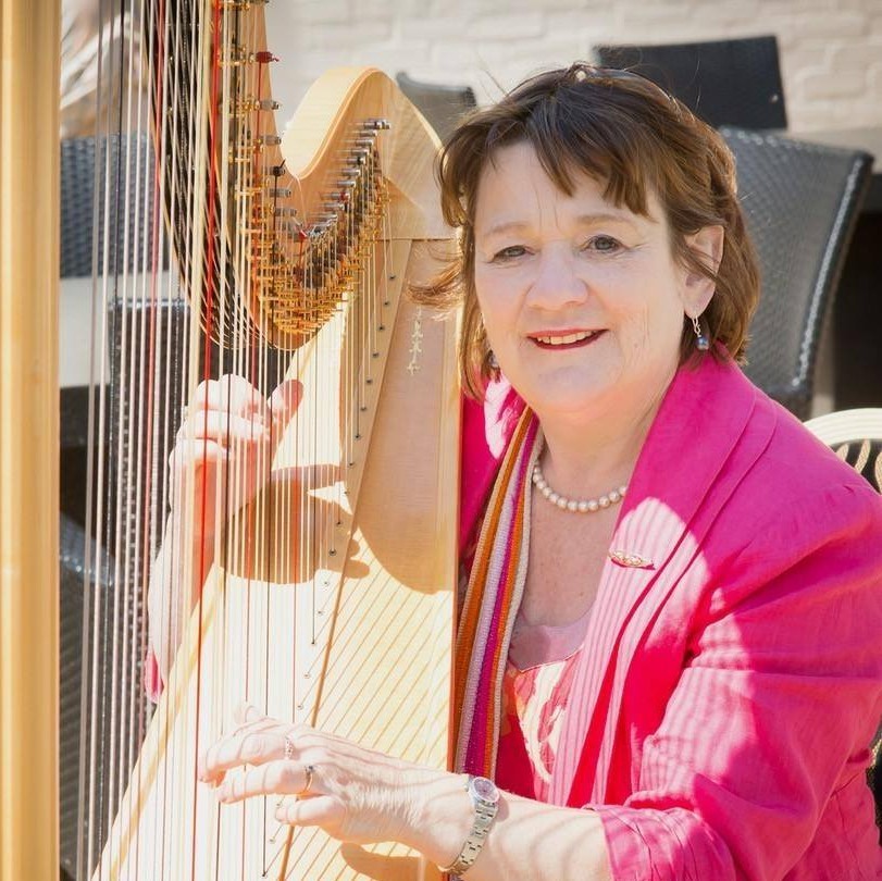The North Wales Harpist