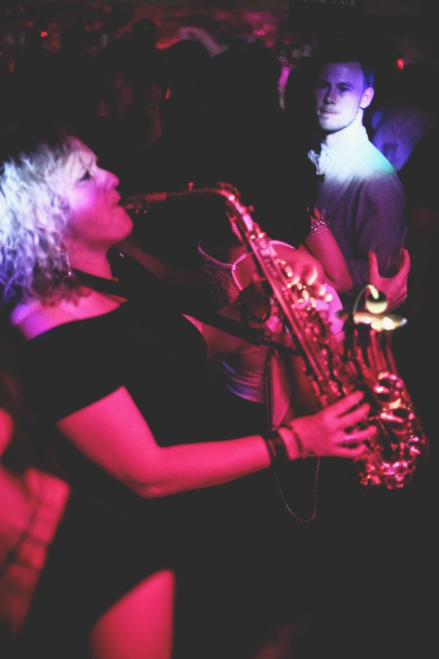 Zebra Plays Saxophone Gallery