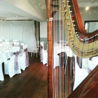 The Yorkshire Harpist