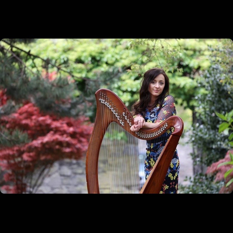 The Classical & Contemporary Harpist Gallery