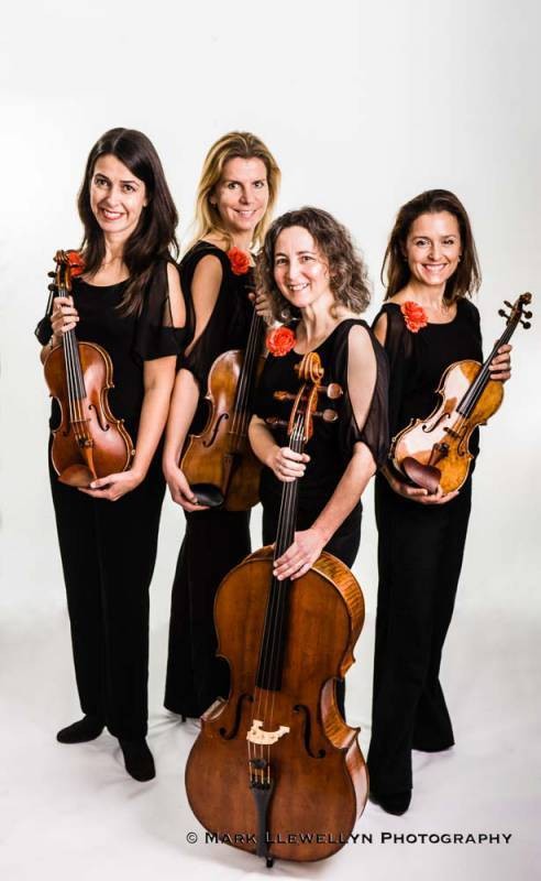 The Berkshire String Quartet Gallery