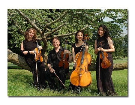 The Devon String Quartet Gallery