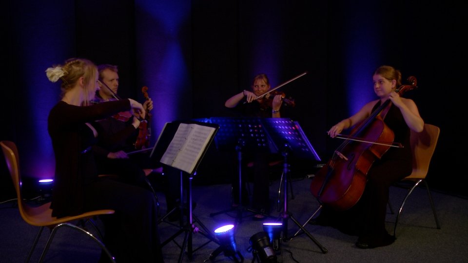 The Mezzo String Quartet Gallery