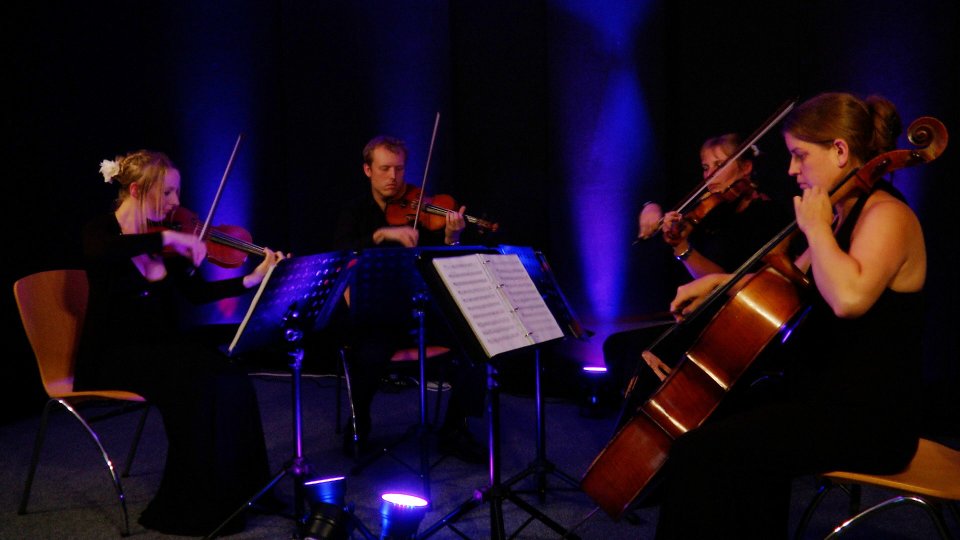 The Mezzo String Quartet Gallery
