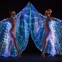 Spellbound - LED Dancers