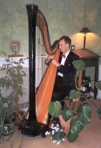 The Devon Harpist Gallery