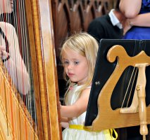 The East Sussex Harpist