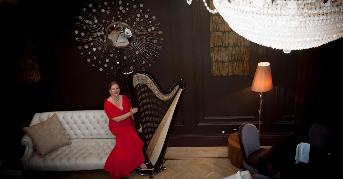 The Sussex Harpist