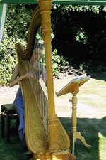The Derbyshire Harpist Gallery