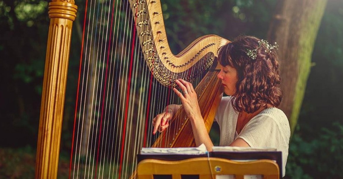 The Derbyshire Harpist