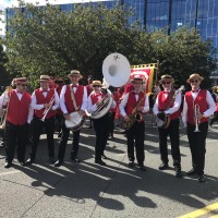 The Street Dixie Band
